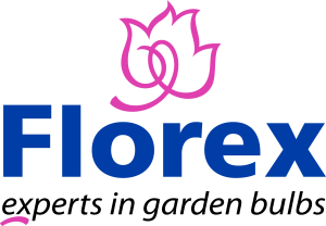 florex